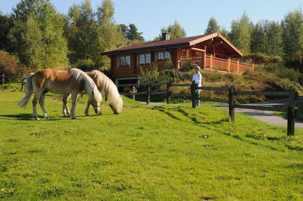Hotelanlage Country Lodge Arnsberg Eksteriør billede