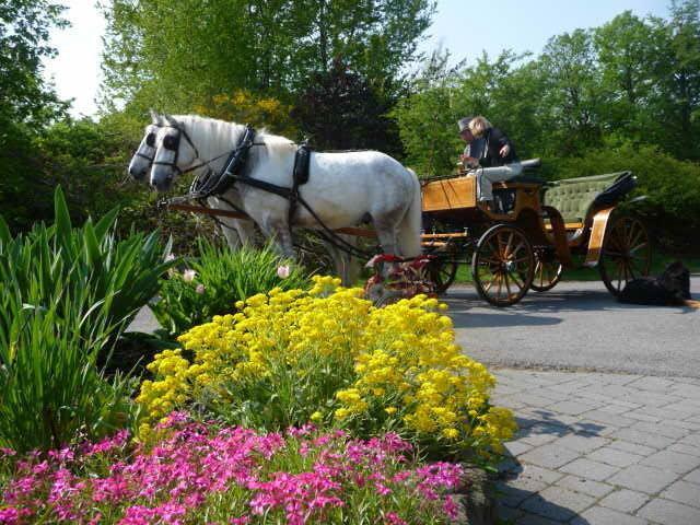Hotelanlage Country Lodge Arnsberg Eksteriør billede